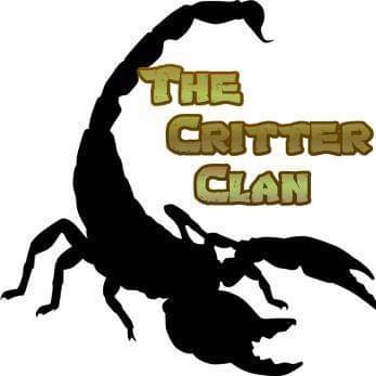 3pm Kids Club | 7pm The Critter Clan